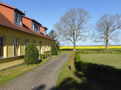 Holiday Home/Apartment - 4 persons -  - Volsvitz - 18569 - Gingst