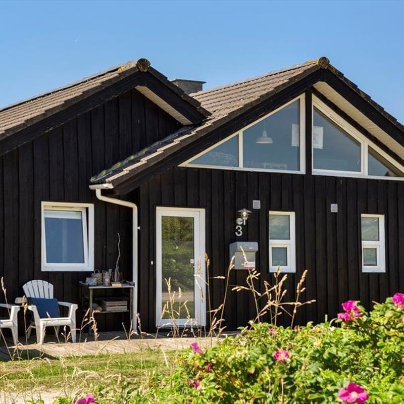 Ferienhaus - 7 Personen -  - Carl Nielsensvej - 9492 - Blokhus
