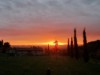 Bild 17