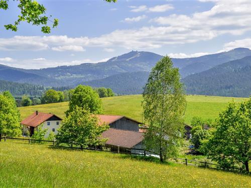 Semesterhus/Semesterlägenhet - 4 personer -  - Böhmackerstraße - 93470 - Lohberg