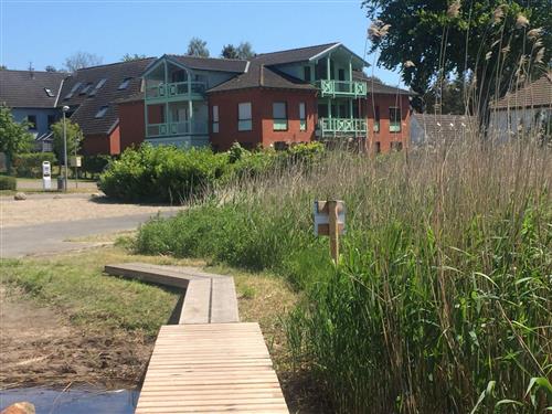 Ferieleilighet - 3 personer -  - Ostseebad Sellin - 18586