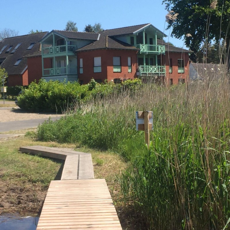 Ferielejlighed - 3 personer -  - Ostseebad Sellin - 18586
