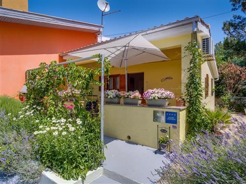 Ferielejlighed - 2 personer -  - Artatore 142, Artatore - 51550 - Mali Losinj