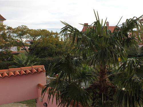 Ferienhaus - 2 Personen -  - Rovinj - 52210 - Rovinj