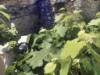 Bild 9 - Aussen