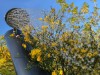 Billede 25 - Grund