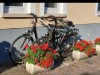 Bild 22