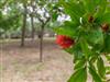Bild 61 - Aussen