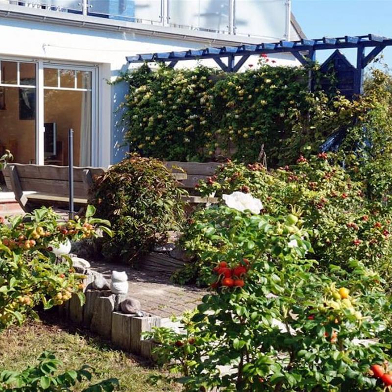 Sommerhus - 4 personer -  - 18551 - Glowe