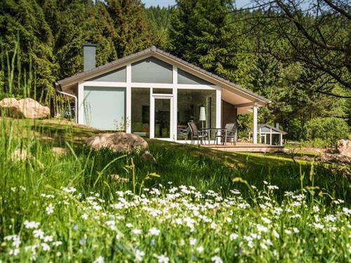 Sommerhus - 4 personer -  - Altensteiner Straße - 99842 - Ruhla