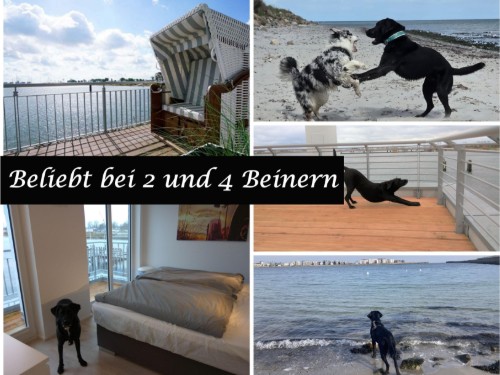 Ferienhaus - 5 Personen -  - Schleiufer - 24376 - Kappeln