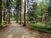 Bild 45
