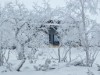 Bilde 24 - Inne