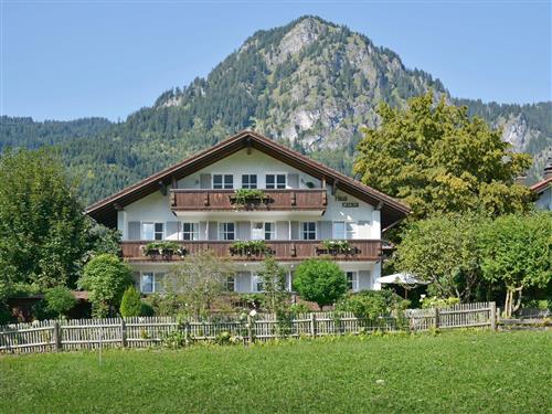 Ferielejlighed - 2 personer -  - Sebastian-Kneipp-Str. - 87541 - Bad Hindelang