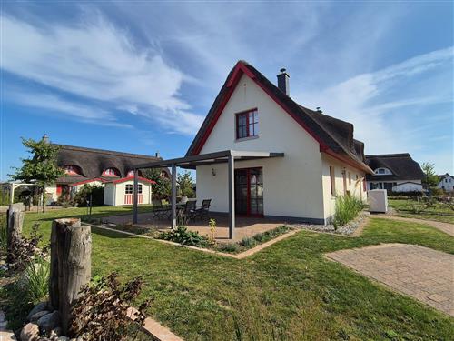 Sommerhus - 2 personer -  - De Poeler Drift - 23968 - Zierow