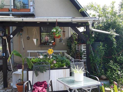 Holiday Home/Apartment - 2 persons -  - Stöbniger Straße - 09306 - Rochlitz