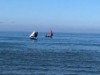 Billede 29