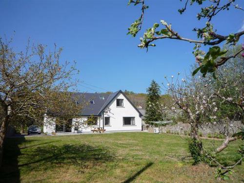 Feriehus - 8 personer -  - V93RY65 - Killarney