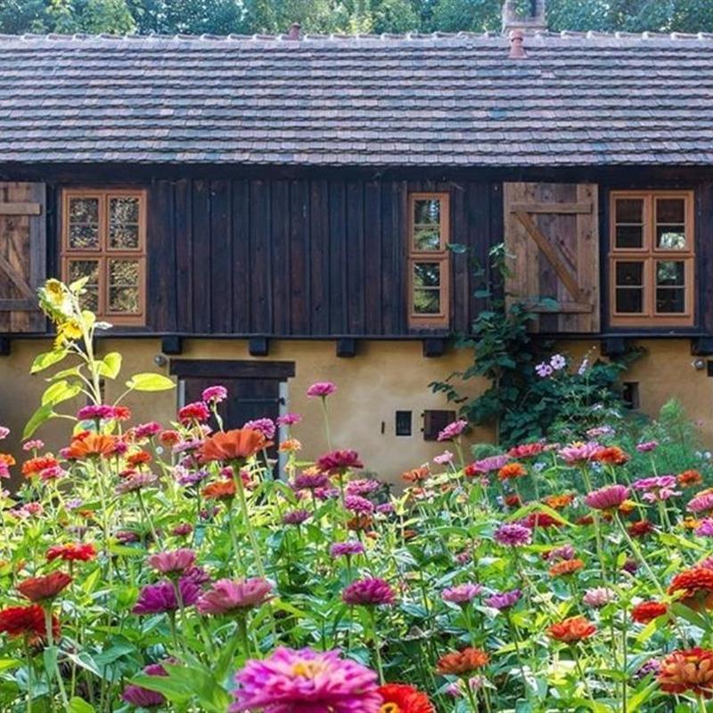 Ferielejlighed - 3 personer -  - Schönefelder Chaussee - 14947 - Nuthe-Urstromtal