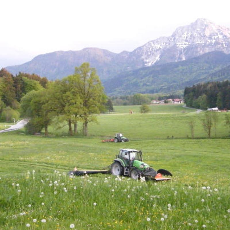 Bondegård - 4 personer -  - Vachenlueger Straße - 83454 - Anger