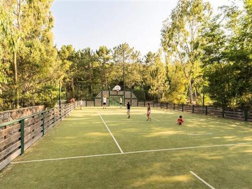 Ferielejlighed - 4 personer -  - 83310 - Grimaud