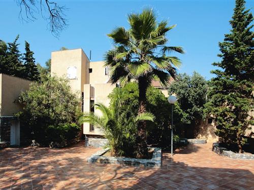 Ferienwohnung - 4 Personen -  - 20230 - Poggio-Mezzana