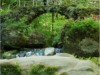 Image 38