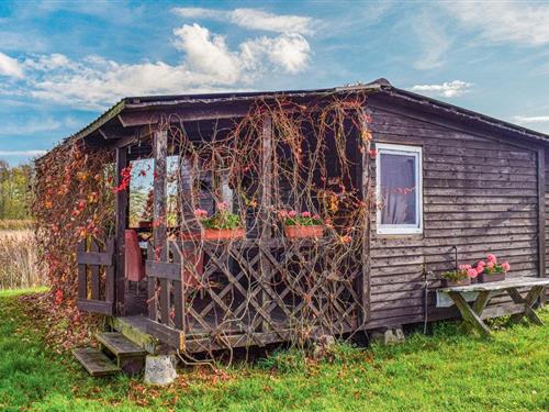 Ferienhaus - 4 Personen -  - Najdymowo - Najdymowo - 11-300 - Biskupiec