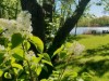 Bild 13