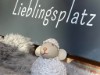 Bild 19