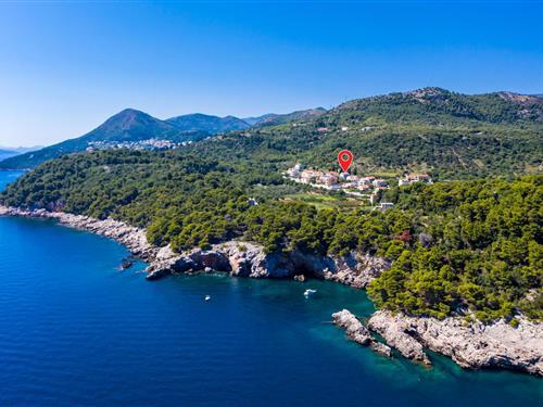 Holiday home - 8 persons -  - Pinji - Dubrovnik-Zaton Veliki - 20235 - Zaton Veliki