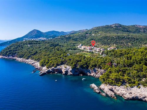 Sommerhus - 8 personer -  - Pinji - Dubrovnik-Zaton Veliki - 20235 - Zaton Veliki