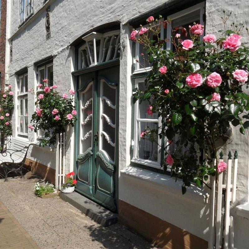 Ferielejlighed - 2 personer -  - Friedrichstadt - 25840