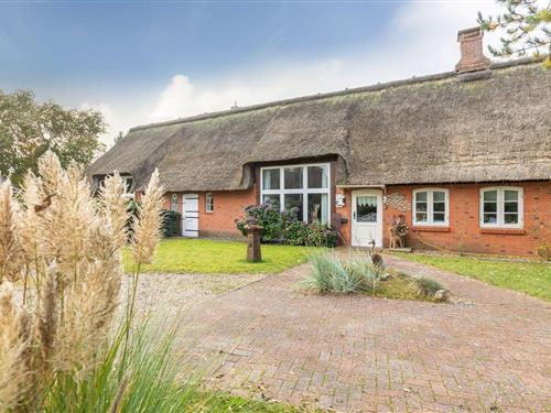 Ferienwohnung - 4 Personen -  - Westerende - 25821 - Dörpum