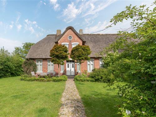 Ferielejlighed - 4 personer -  - Süden - 25889 - Witzwort