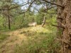 Billede 27 - Grund