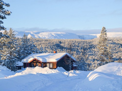 Sommerhus - 8 personer -  - Fulufjällsbyn - Fulufjället Särna - 790 90 - Särna
