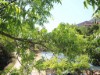 Billede 22
