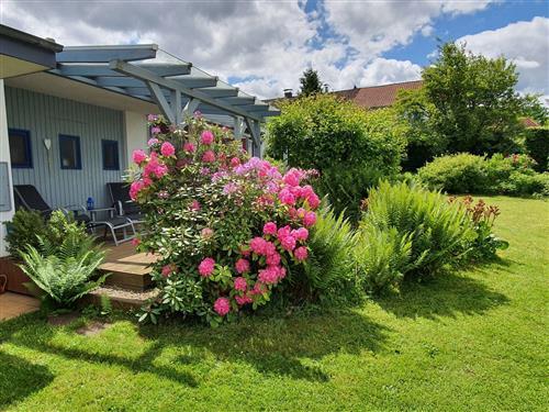 Feriehus - 3 personer -  - Vöhl - 34516