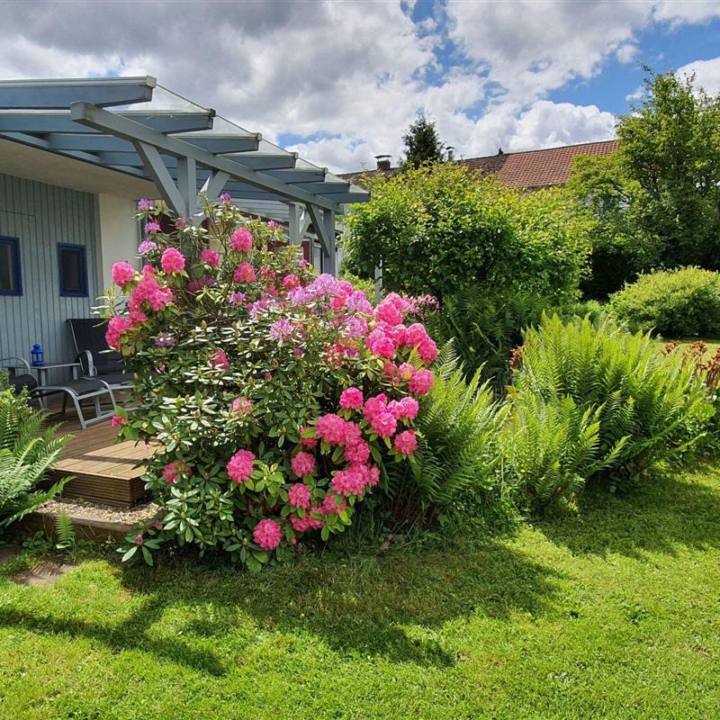 Sommerhus - 3 personer -  - Vöhl - 34516