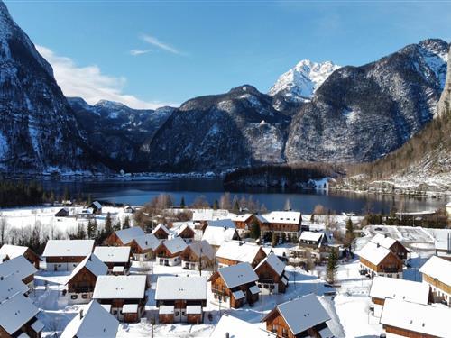 Chalet - 16 personer -  - 4831 - Obertraun