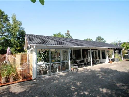 Sommerhus - 4 personer -  - Petuniavej - Stillinge Strand - 4200 - Slagelse