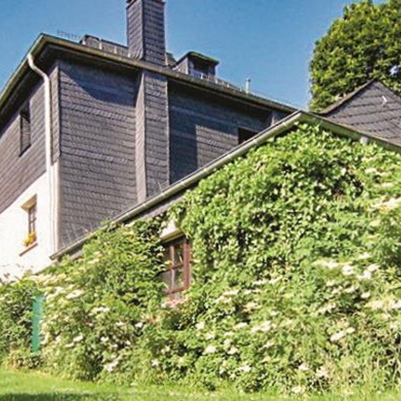 Ferielejlighed - 3 personer -  - Gartenstraße - 54550 - Daun
