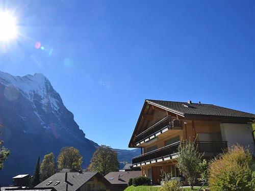 Ferienhaus - 4 Personen -  - Steinbillenweg - 3818 - Grindelwald