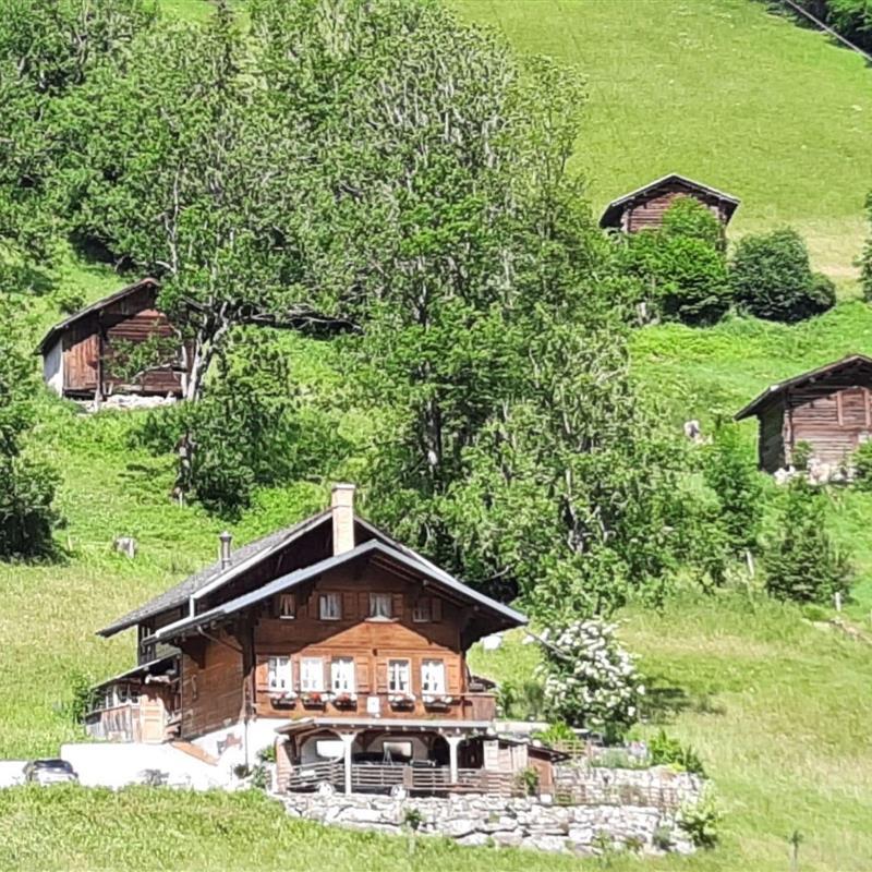 Ferielejlighed - 4 personer -  - Lenk - 3775