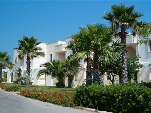 Sommerhus - 3 personer -  - 72017 - Ostuni Marina