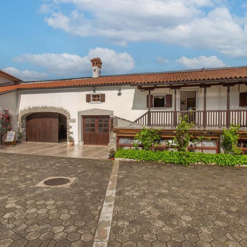 Ferielejlighed - 4 personer -  - Matavun - Coast - 6215 - Divaca