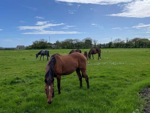Feriehus - 4 personer -  - Y35A596 - Kilmore Quay