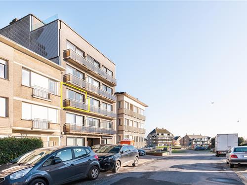 Semesterlägenhet - 5 personer -  - 8670 - Koksijde