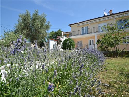 Holiday apartment - 4 persons -  - Ulica Nova Krasa - 51250 - Novi Vinodolski